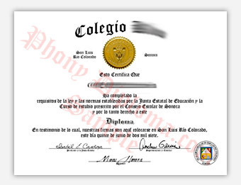 Colegio Kino - Fake Spanish Diploma Sample